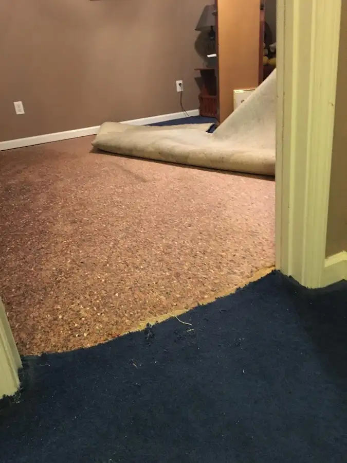 Carpet pad removal revealing water damage during Water Mitigation Services in Camp Springs