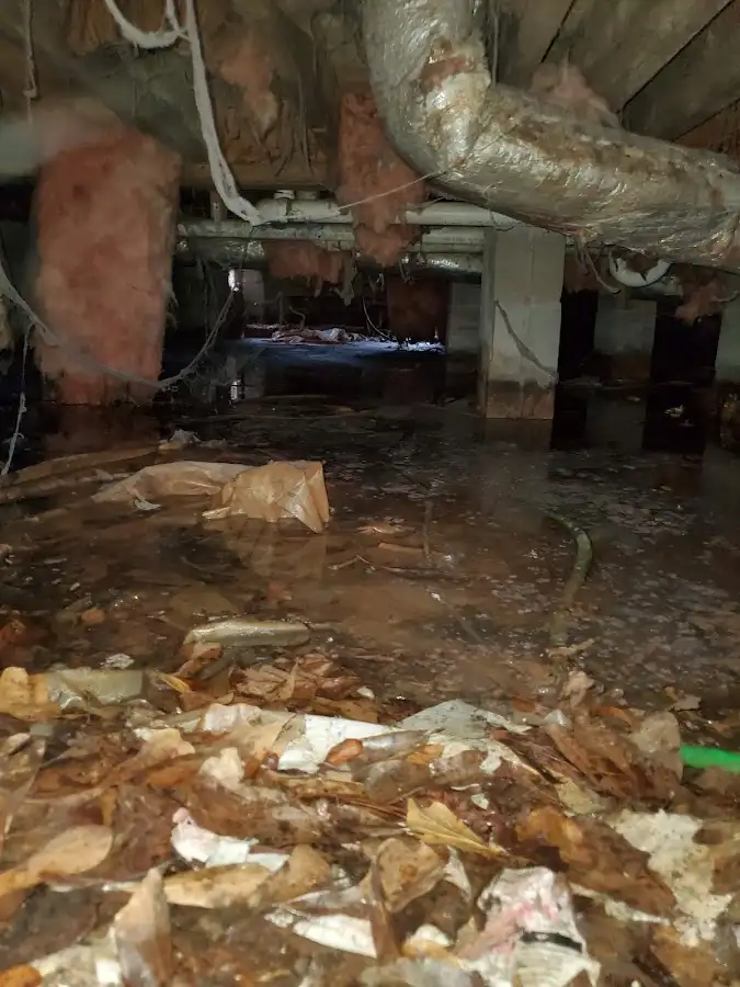 Crawl space flood assessment for Leak Detection & Repair in Camp Springs