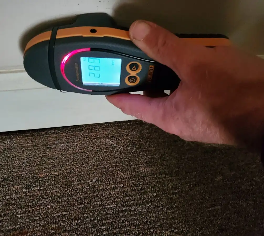 Moisture detection at baseboard during Sewage Cleanup & Sanitation in Camp Springs